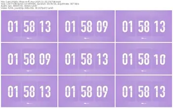 cams-ff_mur-11-23-2025-15-07-08