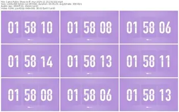 cams-ff_mur-11-23-2025-15-13-22