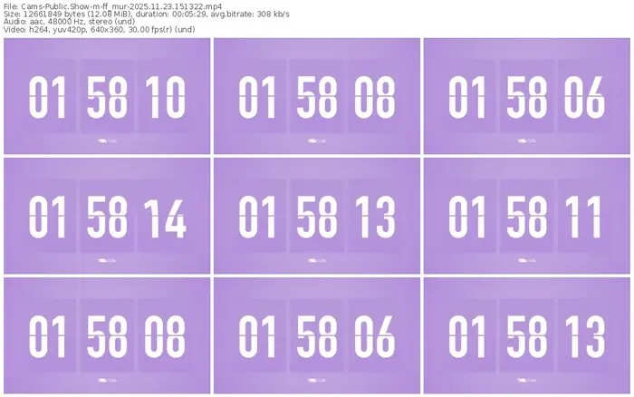 cams-ff_mur-11-23-2025-15-13-22