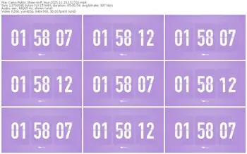 cams-ff_mur-11-23-2025-15-27-02