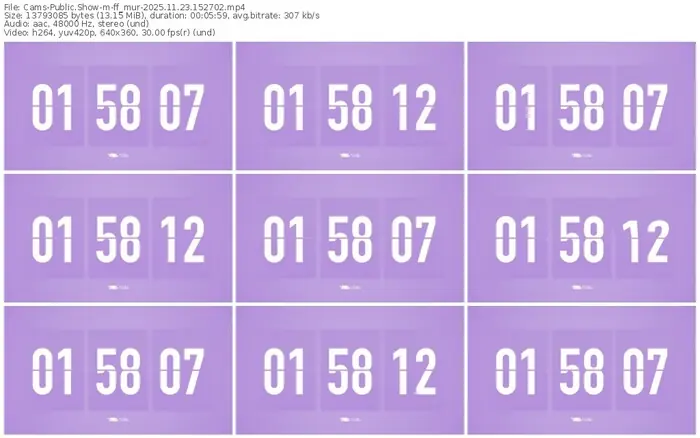 cams-ff_mur-11-23-2025-15-27-02