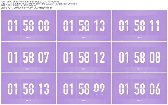 cams-ff_mur-11-23-2025-15-33-01