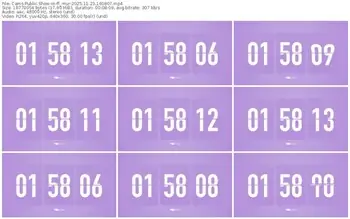 cams-ff_mur-11-23-2025-16-08-07