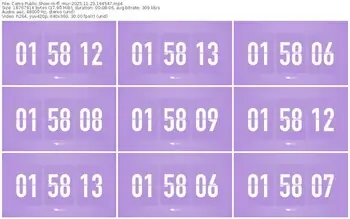 cams-ff_mur-11-23-2025-16-45-47