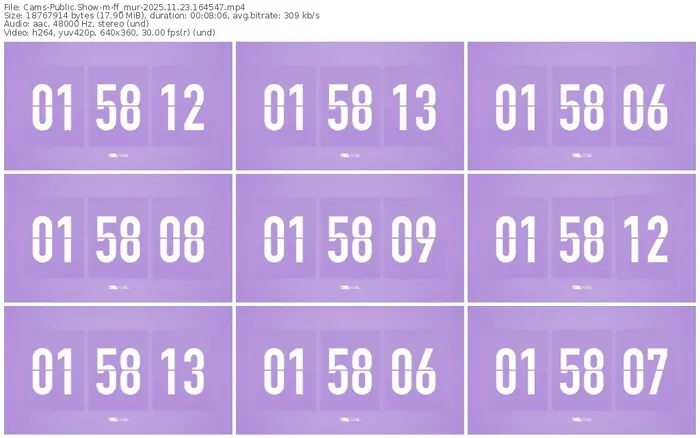 cams-ff_mur-11-23-2025-16-45-47