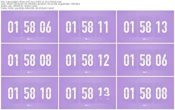 cams-ff_mur-11-23-2025-17-03-32