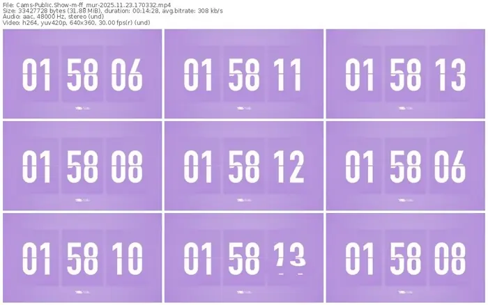 cams-ff_mur-11-23-2025-17-03-32