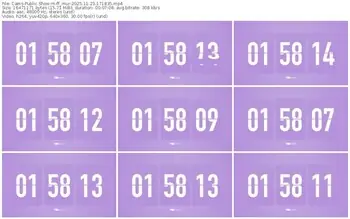 cams-ff_mur-11-23-2025-17-18-35