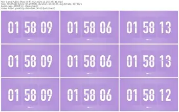 cams-ff_mur-11-23-2025-17-51-48