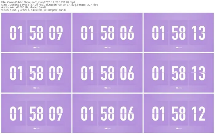 cams-ff_mur-11-23-2025-17-51-48