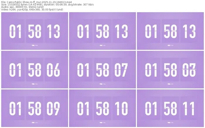 cams-ff_mur-11-23-2025-18-46-13