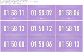 cams-ff_mur-11-23-2025-18-53-52