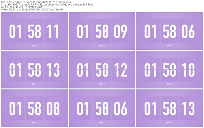 cams-ff_mur-11-23-2025-18-53-52