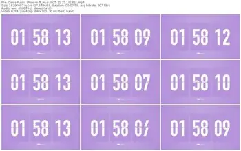 cams-ff_mur-11-23-2025-19-18-51