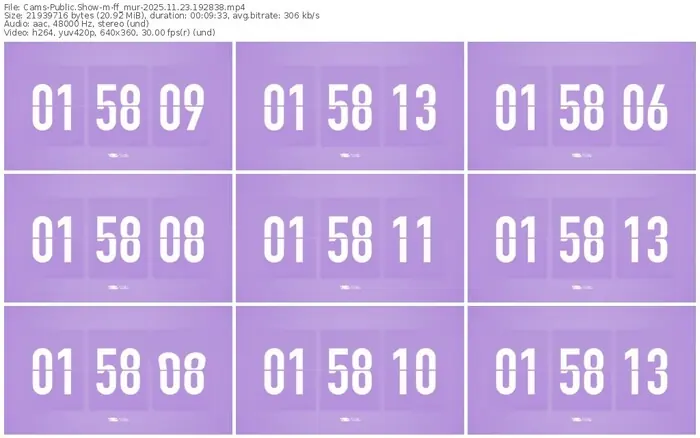 cams-ff_mur-11-23-2025-19-28-38