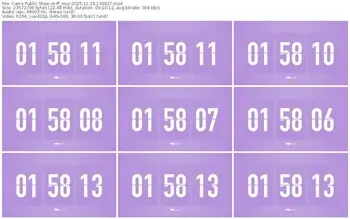 cams-ff_mur-11-23-2025-19-38-27