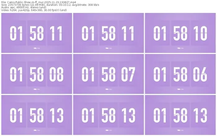 cams-ff_mur-11-23-2025-19-38-27