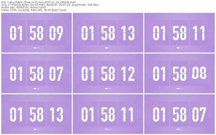 cams-ff_mur-11-23-2025-19-50-26