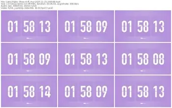 cams-ff_mur-11-23-2025-20-05-48