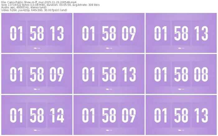 cams-ff_mur-11-23-2025-20-05-48