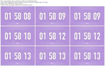 cams-ff_mur-11-23-2025-20-19-02