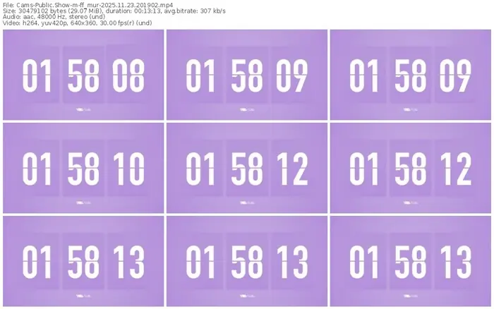 cams-ff_mur-11-23-2025-20-19-02