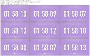 cams-ff_mur-11-23-2025-20-33-22