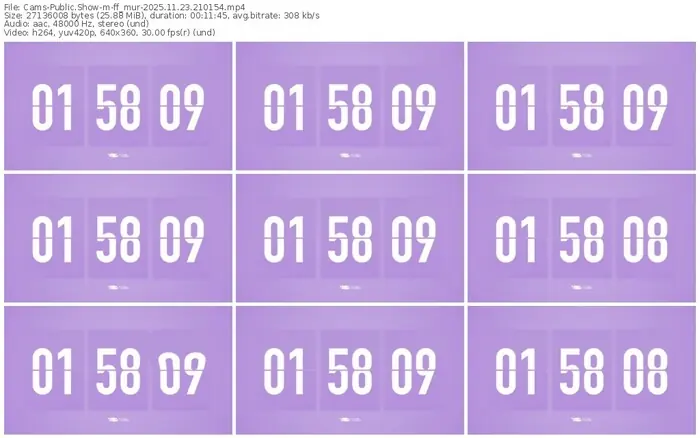 cams-ff_mur-11-23-2025-21-01-54