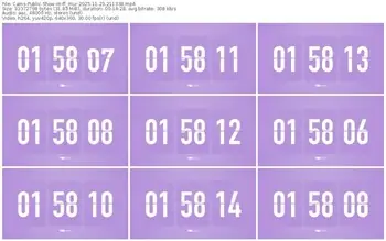 cams-ff_mur-11-23-2025-21-13-38