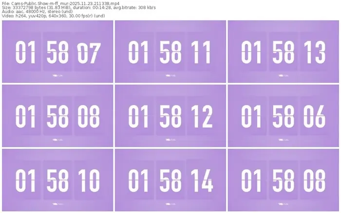 cams-ff_mur-11-23-2025-21-13-38