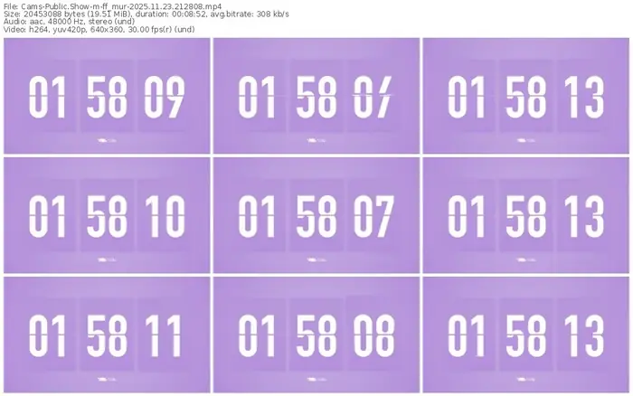 cams-ff_mur-11-23-2025-21-28-08