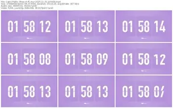 cams-ff_mur-11-23-2025-21-55-09