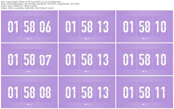 cams-ff_mur-11-23-2025-22-22-28