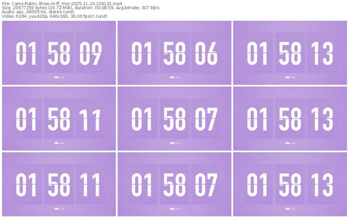 cams-ff_mur-11-23-2025-22-41-21