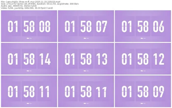 cams-ff_mur-11-23-2025-22-50-23