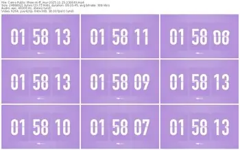 cams-ff_mur-11-23-2025-23-06-43