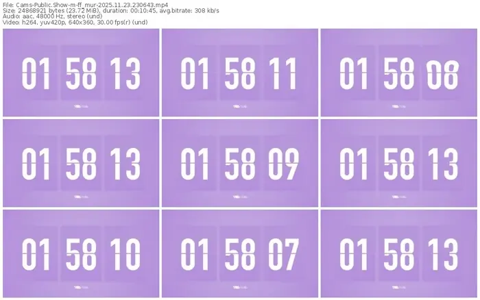 cams-ff_mur-11-23-2025-23-06-43