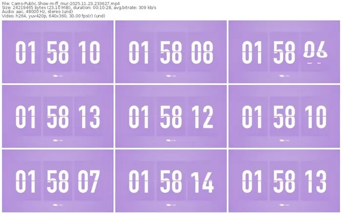 cams-ff_mur-11-23-2025-23-36-27