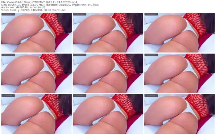 cams-ttiffany-11-24-2025-16-26-23