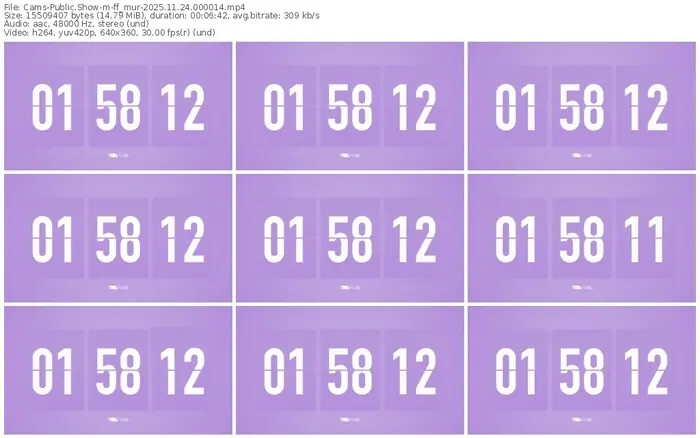 cams-ff_mur-11-24-2025-00-00-14