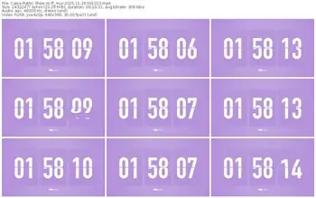 cams-ff_mur-11-24-2025-00-10-13