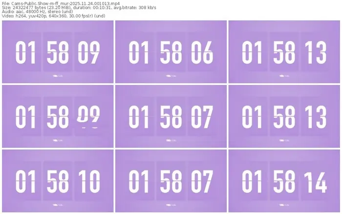 cams-ff_mur-11-24-2025-00-10-13