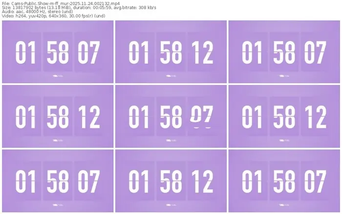 cams-ff_mur-11-24-2025-00-21-32