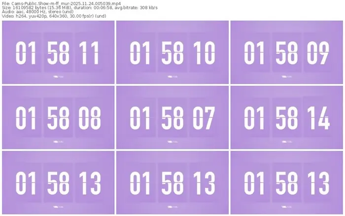cams-ff_mur-11-24-2025-00-50-39