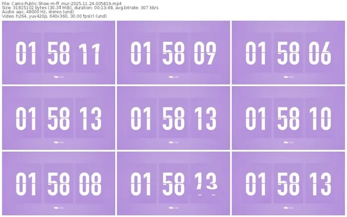 cams-ff_mur-11-24-2025-00-58-19