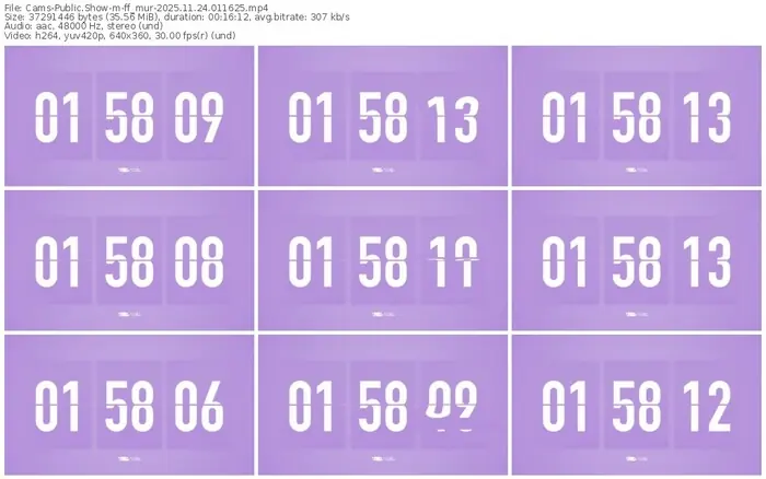 cams-ff_mur-11-24-2025-01-16-25