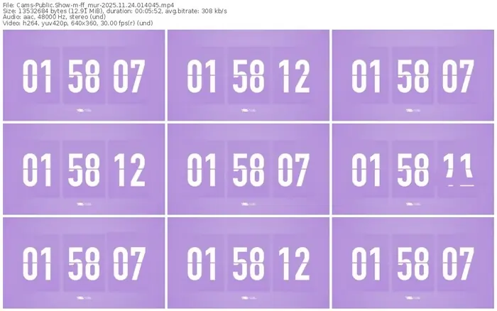 cams-ff_mur-11-24-2025-01-40-45