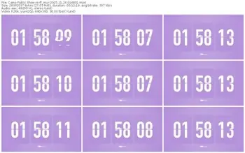 cams-ff_mur-11-24-2025-01-48-01