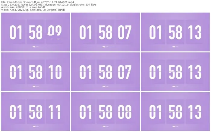 cams-ff_mur-11-24-2025-01-48-01