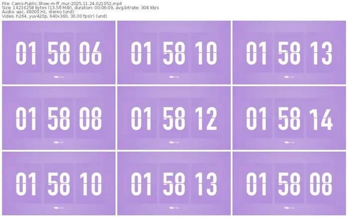 cams-ff_mur-11-24-2025-02-10-52